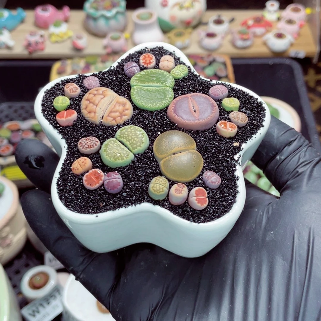 夜间零下地区拍保温箱w1259