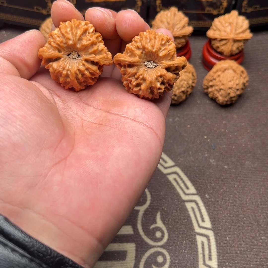 核桃龙门间1111111