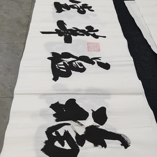 翰墨申国栋老师作品一副