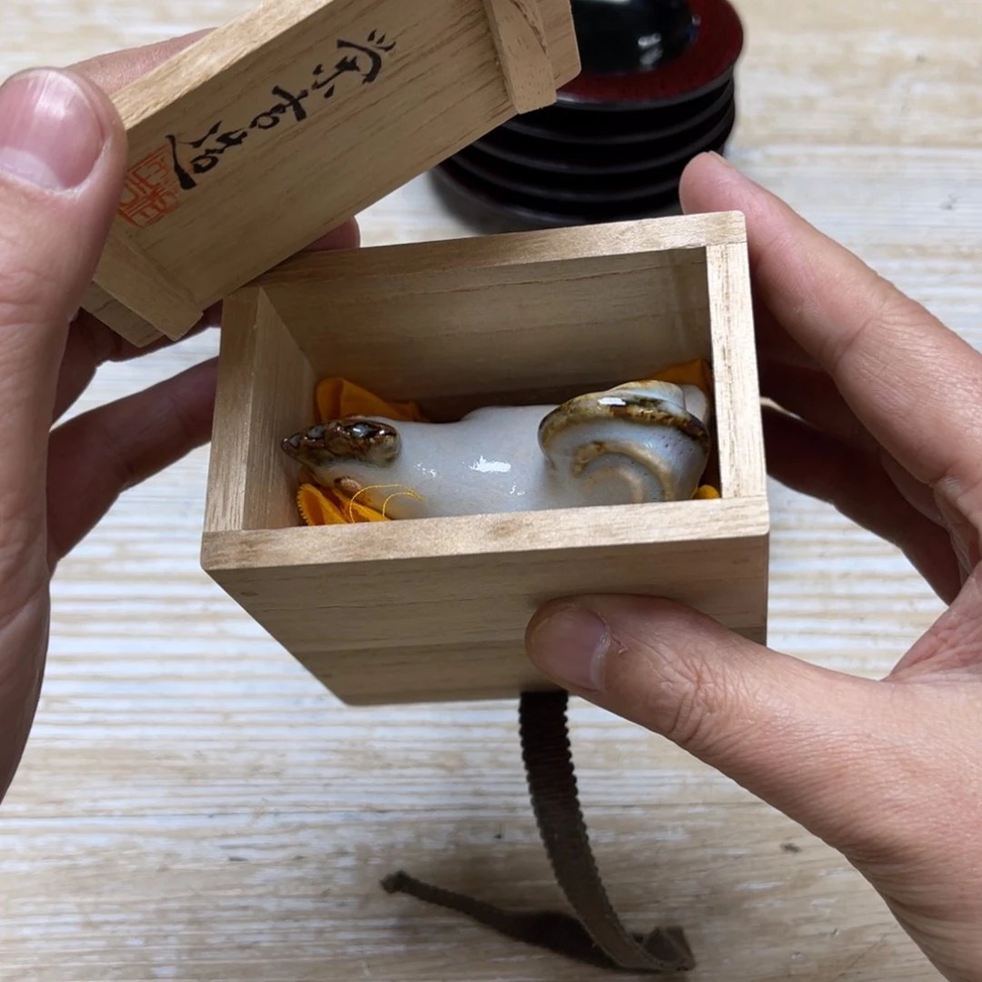 瓷片草****3密密麻麻地排列着一个