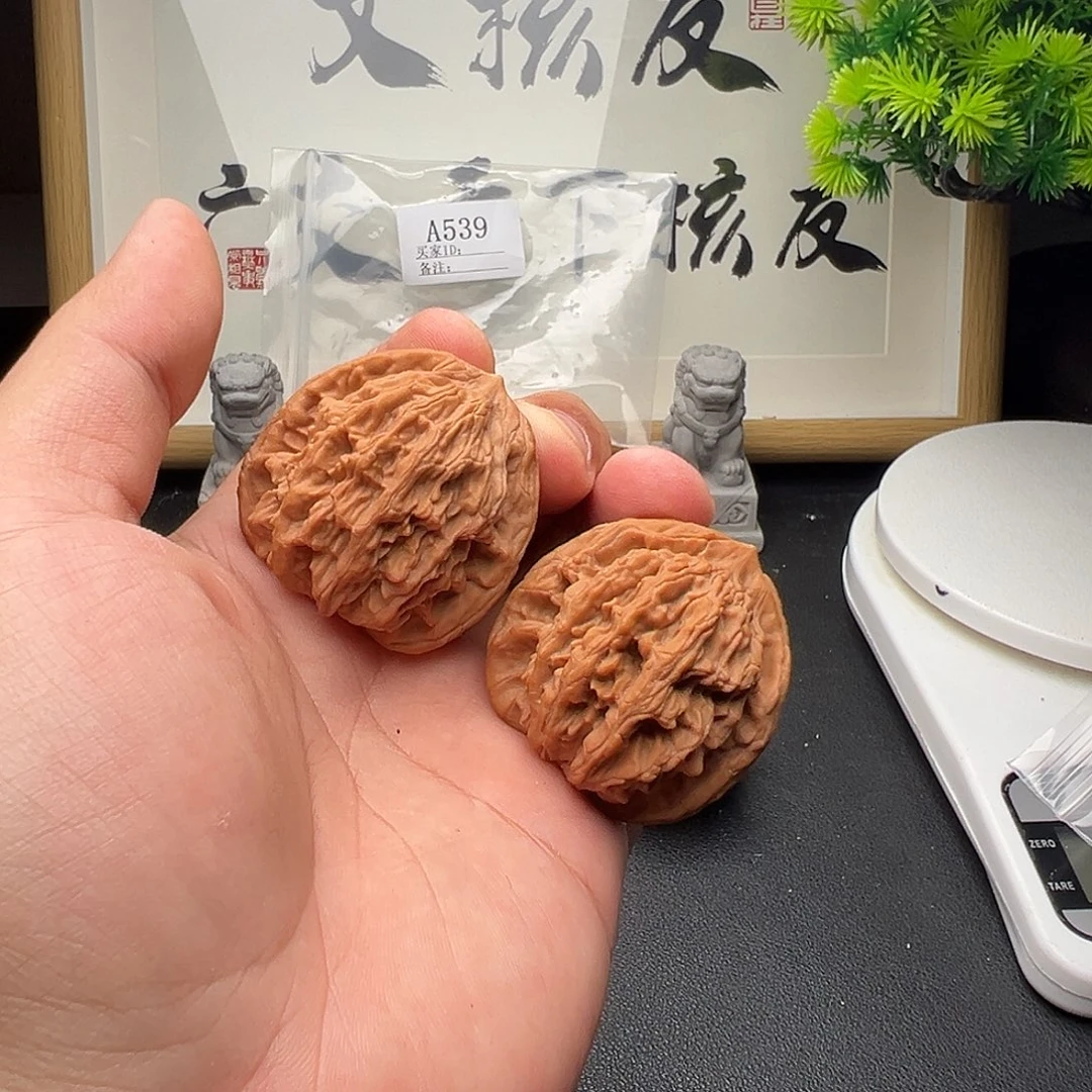 A539虎头43尺全品