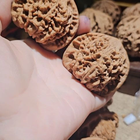 文玩核桃吊坠50龙鼎管帽