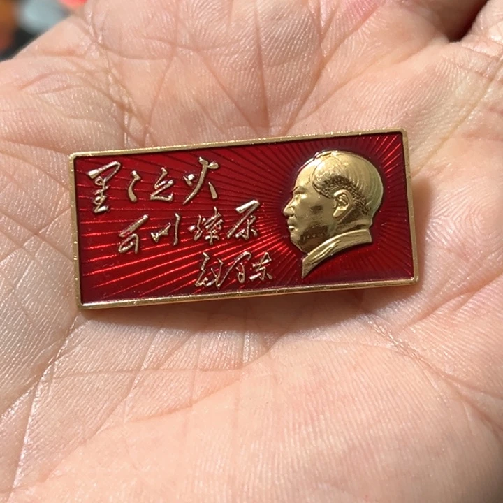 敏***敏其他普通金属普通纪念章一枚