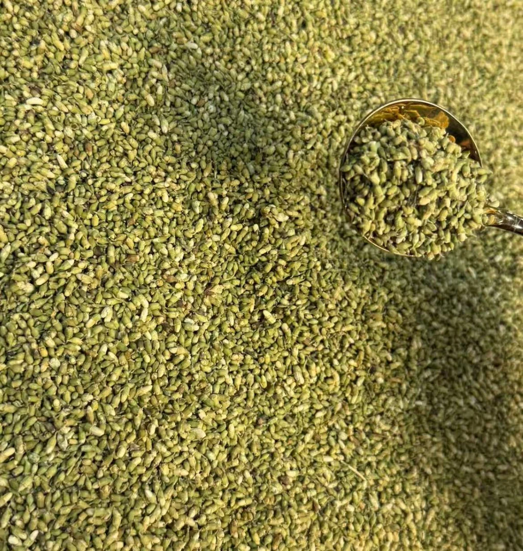 【小强陈皮】云南产区 珠子参蕊 益身百搭茶  250g 拍一发二