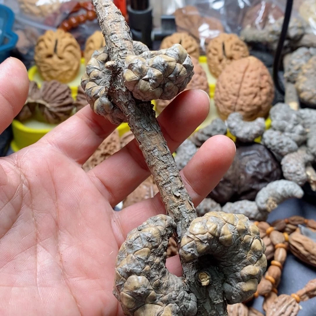 文玩核桃吊坠杯*核桃26