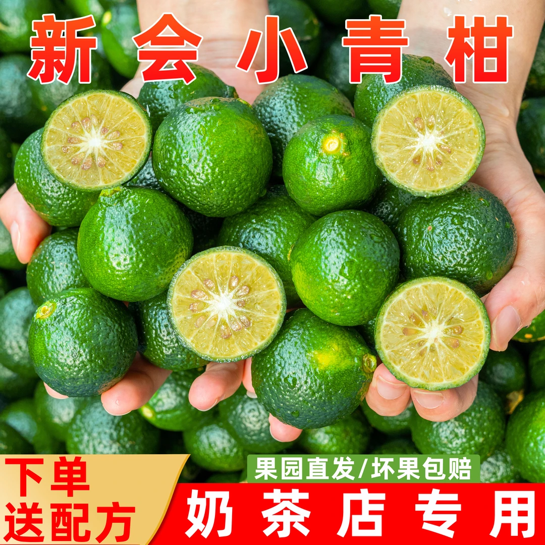 【下单送配方】正宗新会小青柑茶饮店小青柑鲜露鲜果茶柠檬茶专用