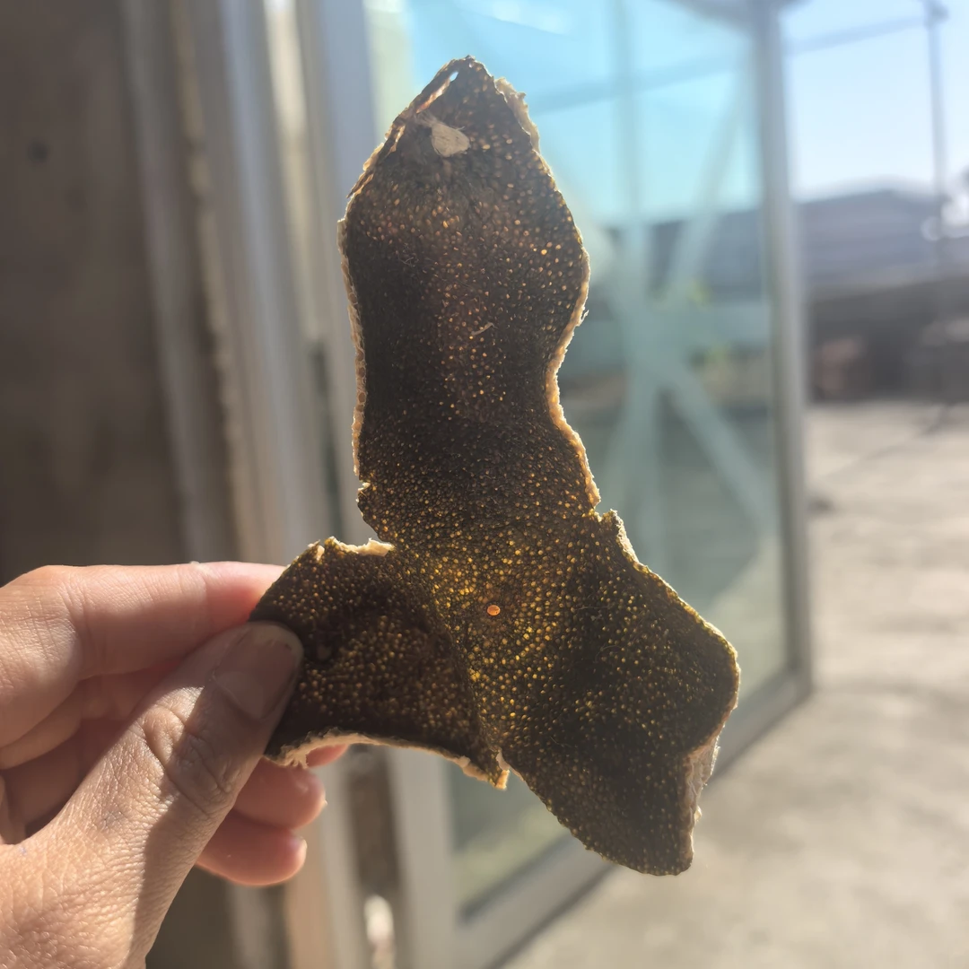 正宗新会东甲圈枝青皮陈皮干仓储存可煲汤泡茶