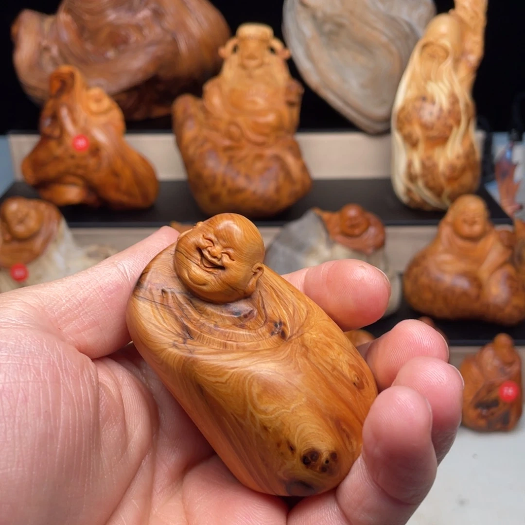 柏木（崖柏）2355665533556666699