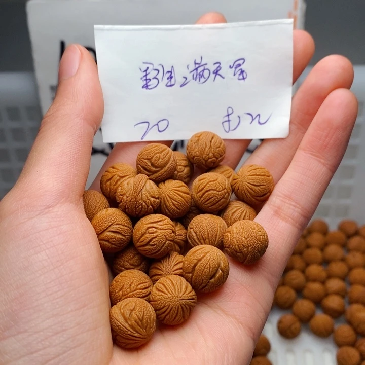 桃核手串12mm左右野生满天星20颗（打孔）