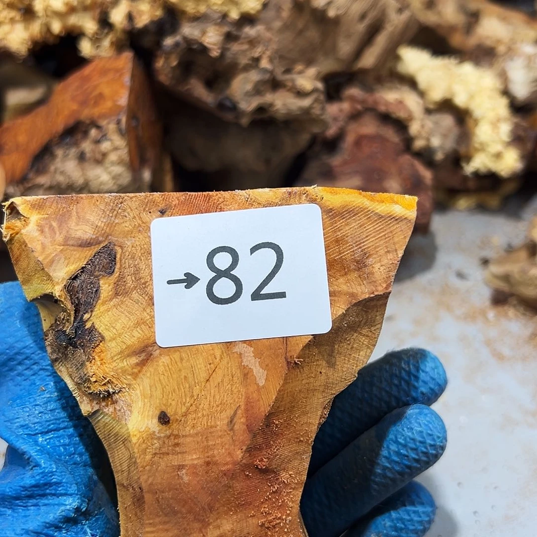 香榧木淡**尘火琉璃……火琉璃