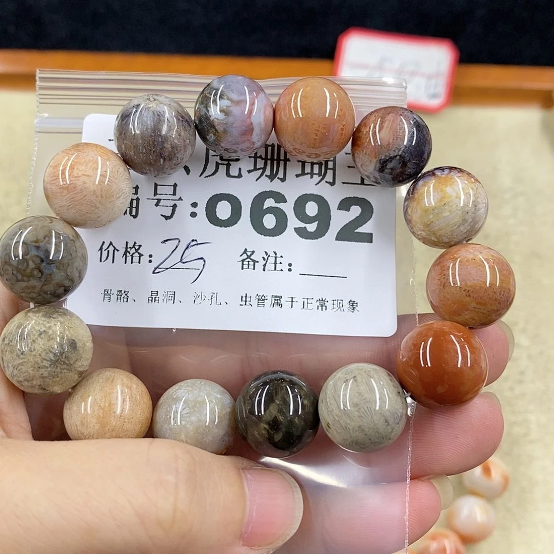 硅化珊瑚（珊瑚玉）1未镶嵌大*