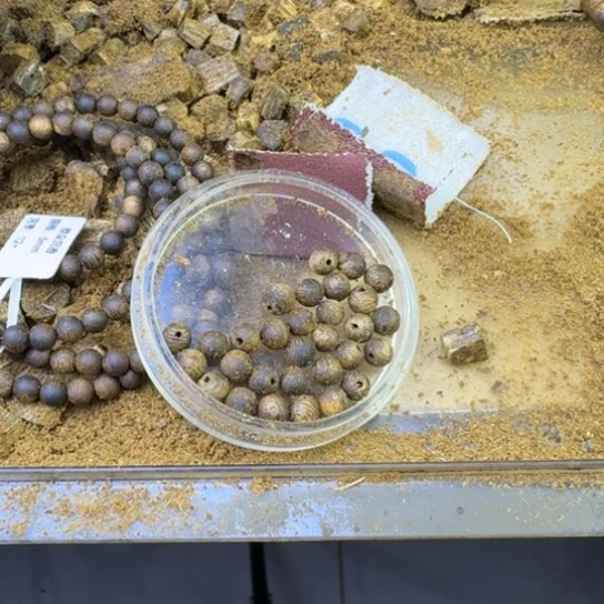 无***为沉香碎屑沉香绿棋：金沙叶6mm