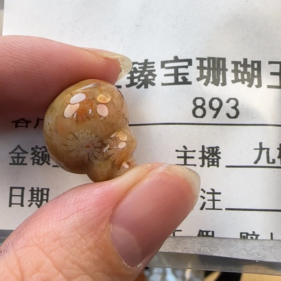 硅化珊瑚（珊瑚玉）未镶嵌颈饰