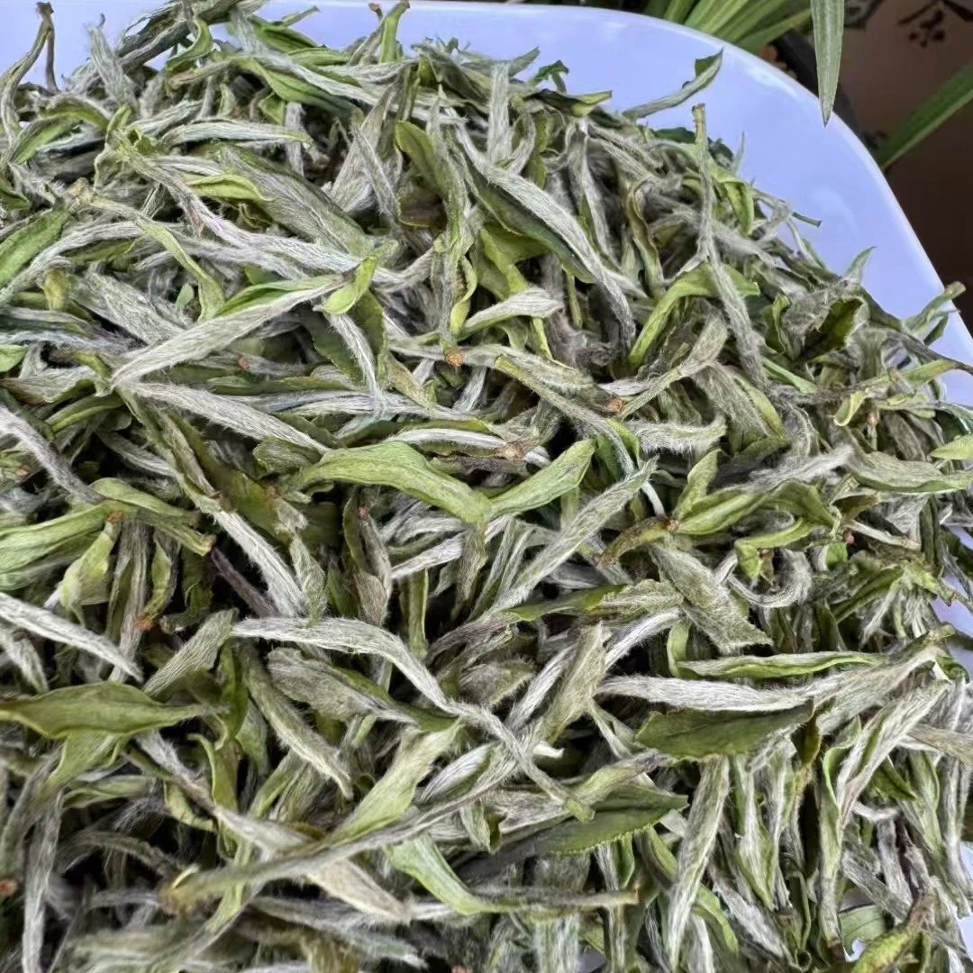 2025年头春明前头采赛银针福鼎高山白茶毫香花香特级白牡丹