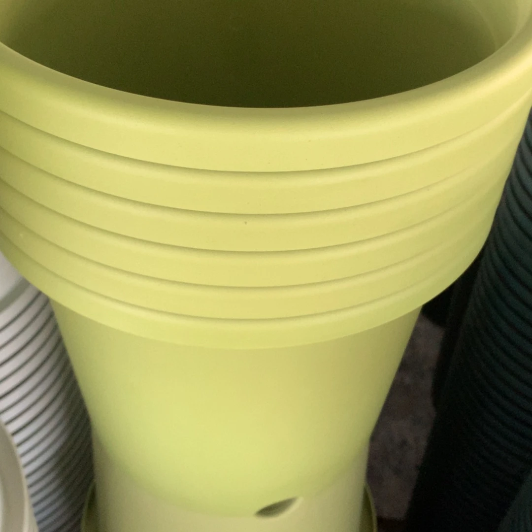 红陶狙*手29口果绿无托6个