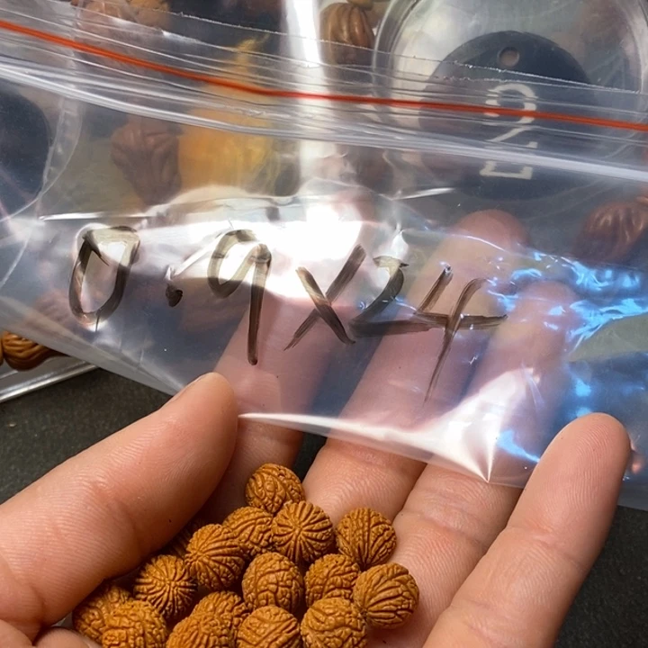 吊坠桃核陕西秦岭山桃核