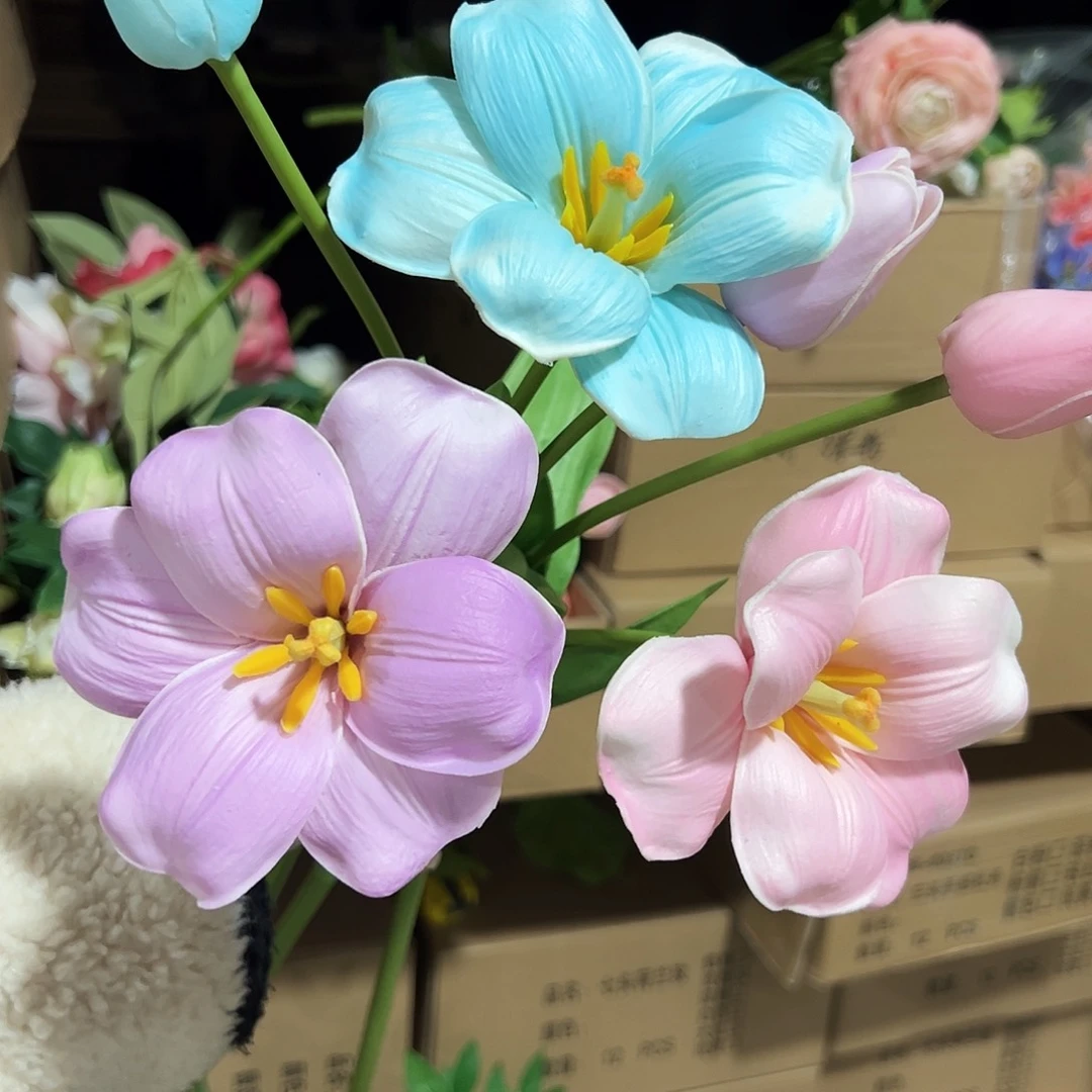 3枝混色2头布朗尼郁金香