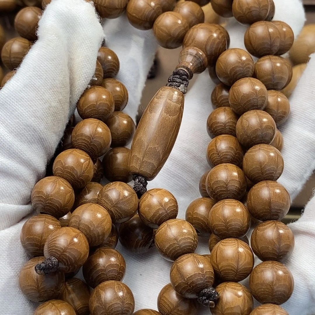 军***采六道木山西五台山