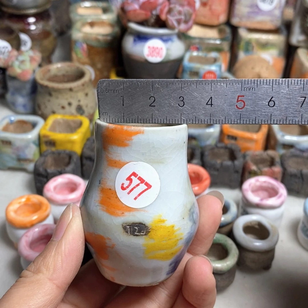 拍5送一个小礼物
