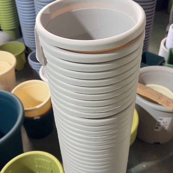 四季3号灰白微瑕无托10个