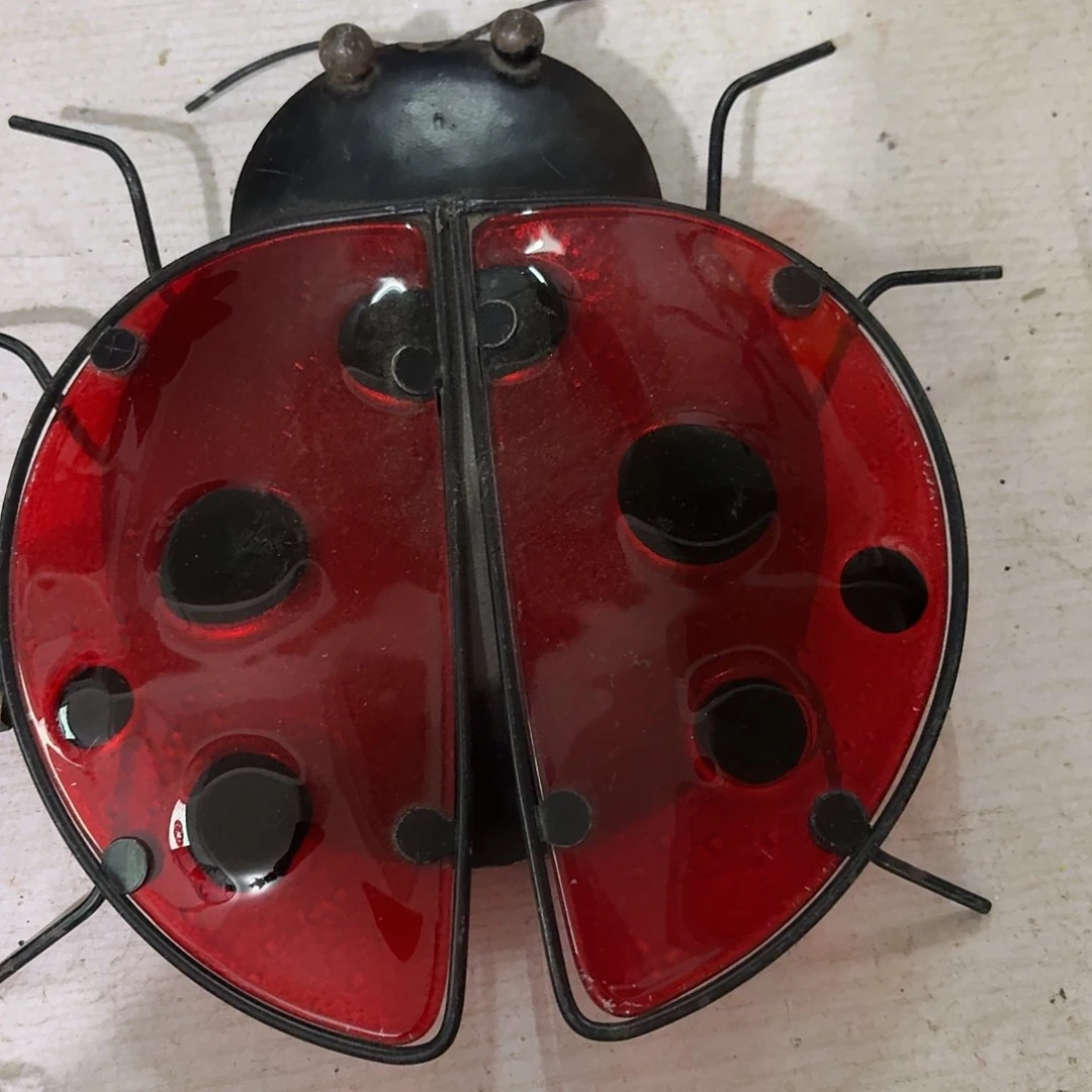 核桃木/黑胡桃（胡桃木）