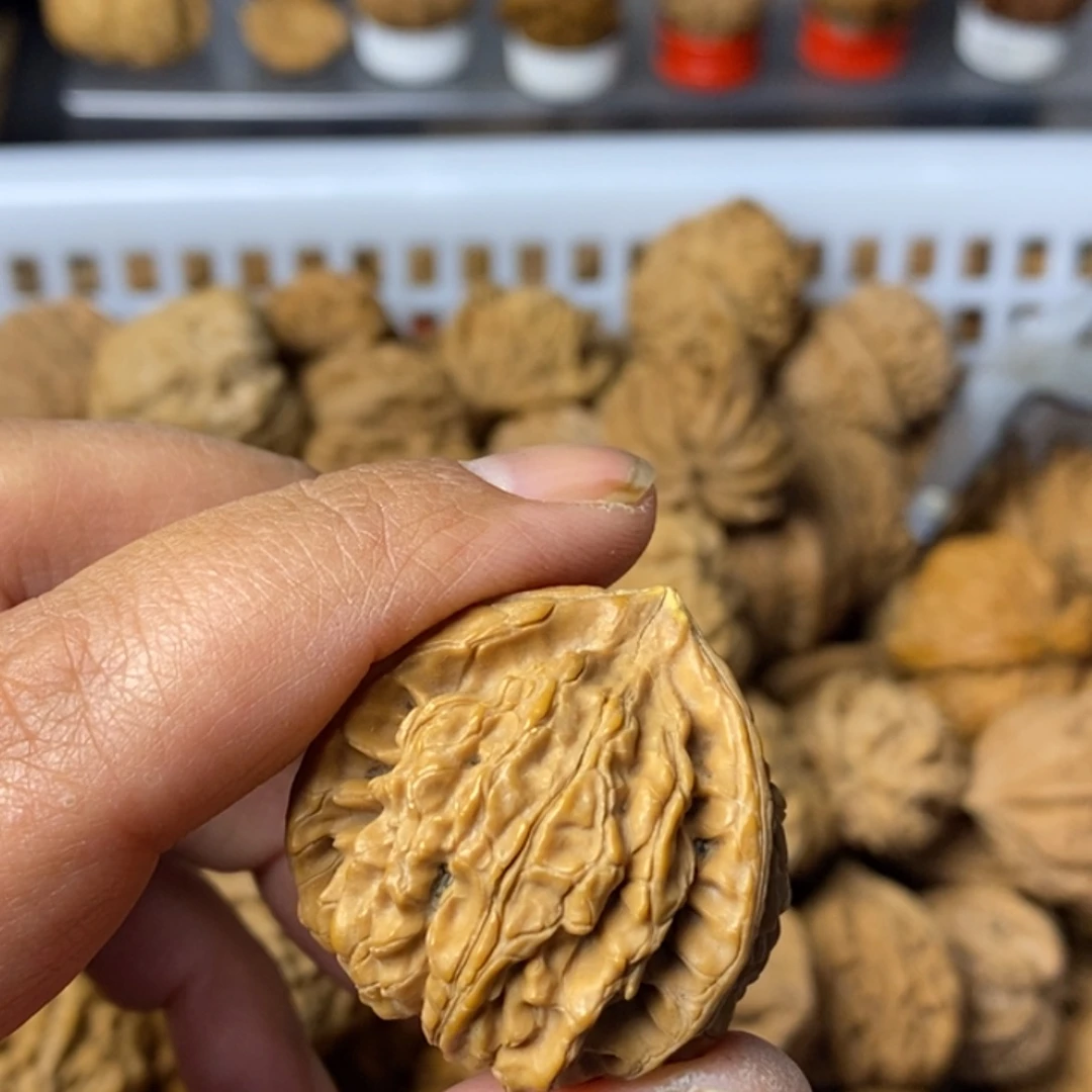 快***恼大叶紫檀（黑酸枝木类）