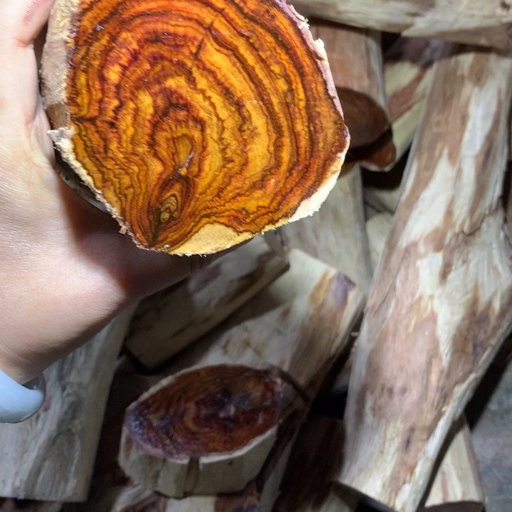 滕***阁花梨木类海南黄花梨
