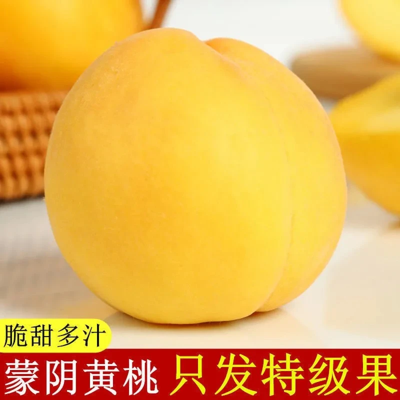 沂蒙山新鲜黄桃黄油桃蜜桃当季水果脆甜多汁高山成长全国包邮