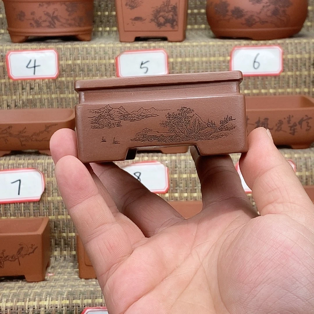 紫砂花盆在看了几