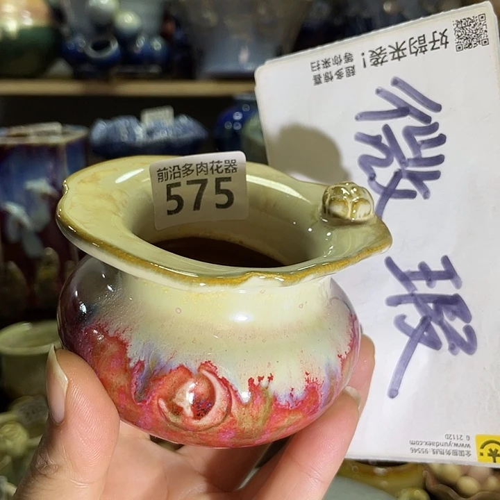 狼盆内口径5高度6