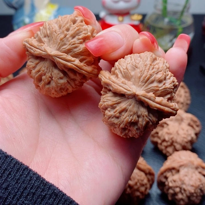 核桃山地果白狮子39