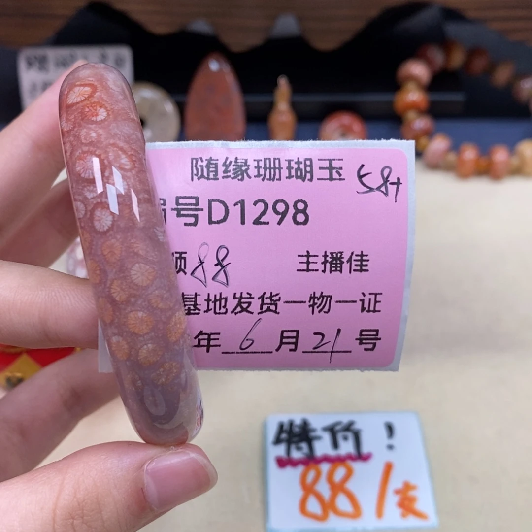 硅化珊瑚（珊瑚玉）D1298未镶嵌土*?