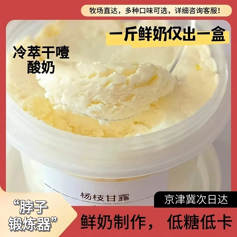 巨噎网红酸奶鲜奶制作石膏干巴酸奶干嚼奶酪低卡低糖干噎冷萃酸奶
