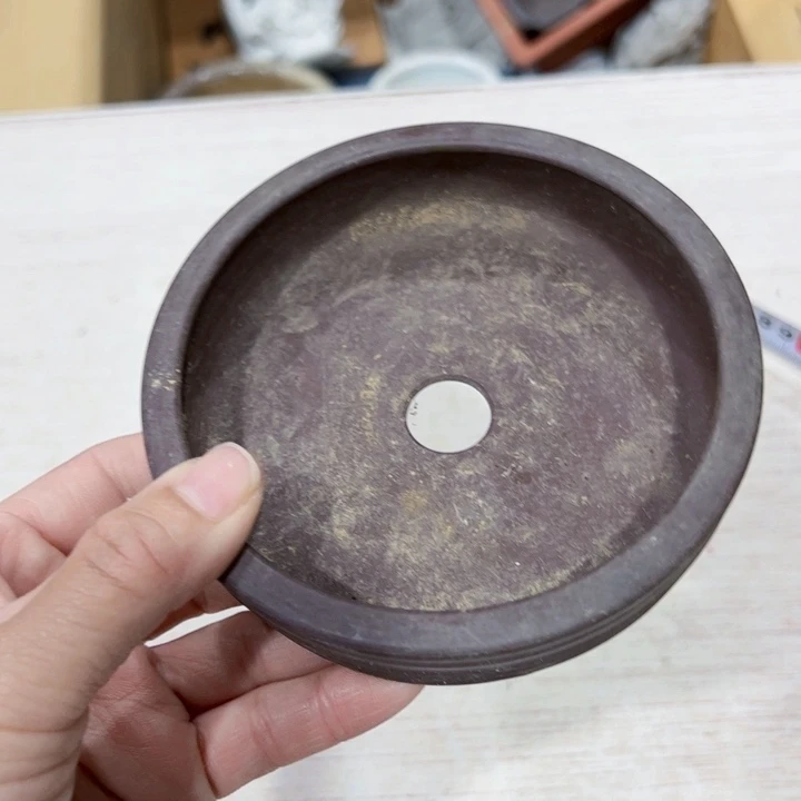 梅**子亿熙合中中古杂项谨慎参拍