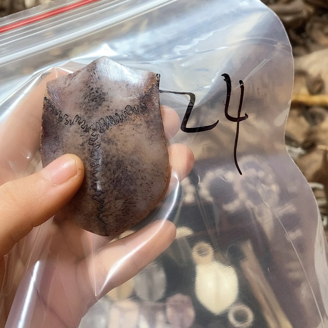 三界三界三界三界