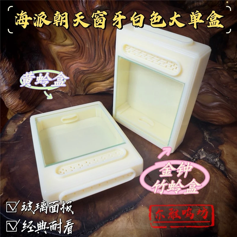 海派朝天窗黄蛉金钟竹蛉盒大方盒牙白色有机盒纯玻璃面板仙子类