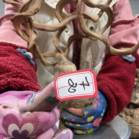 大*紫砂的味道很好闻啊