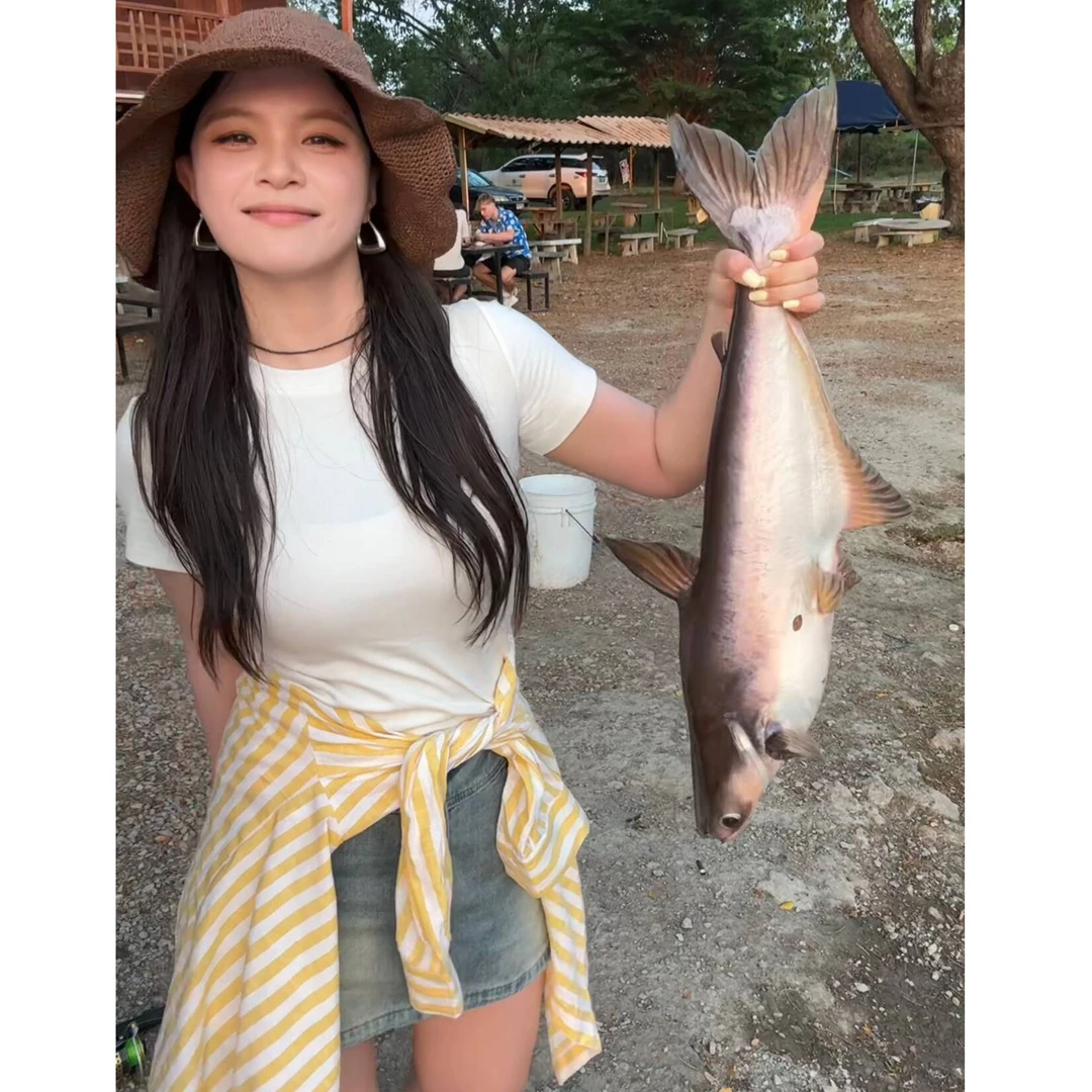 一口苏达 条纹衬衫 冬季撞色新款遮肉条纹休闲显瘦显白衬衫A278