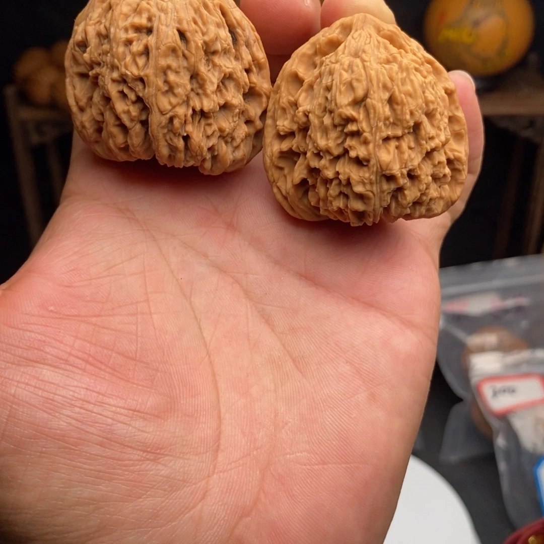 40涿鹿三角将1111