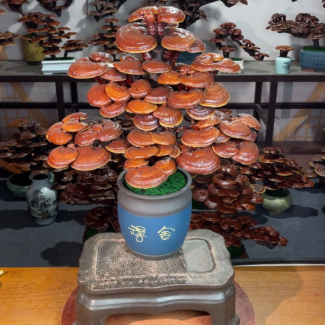 无花朵万事如意888888888888