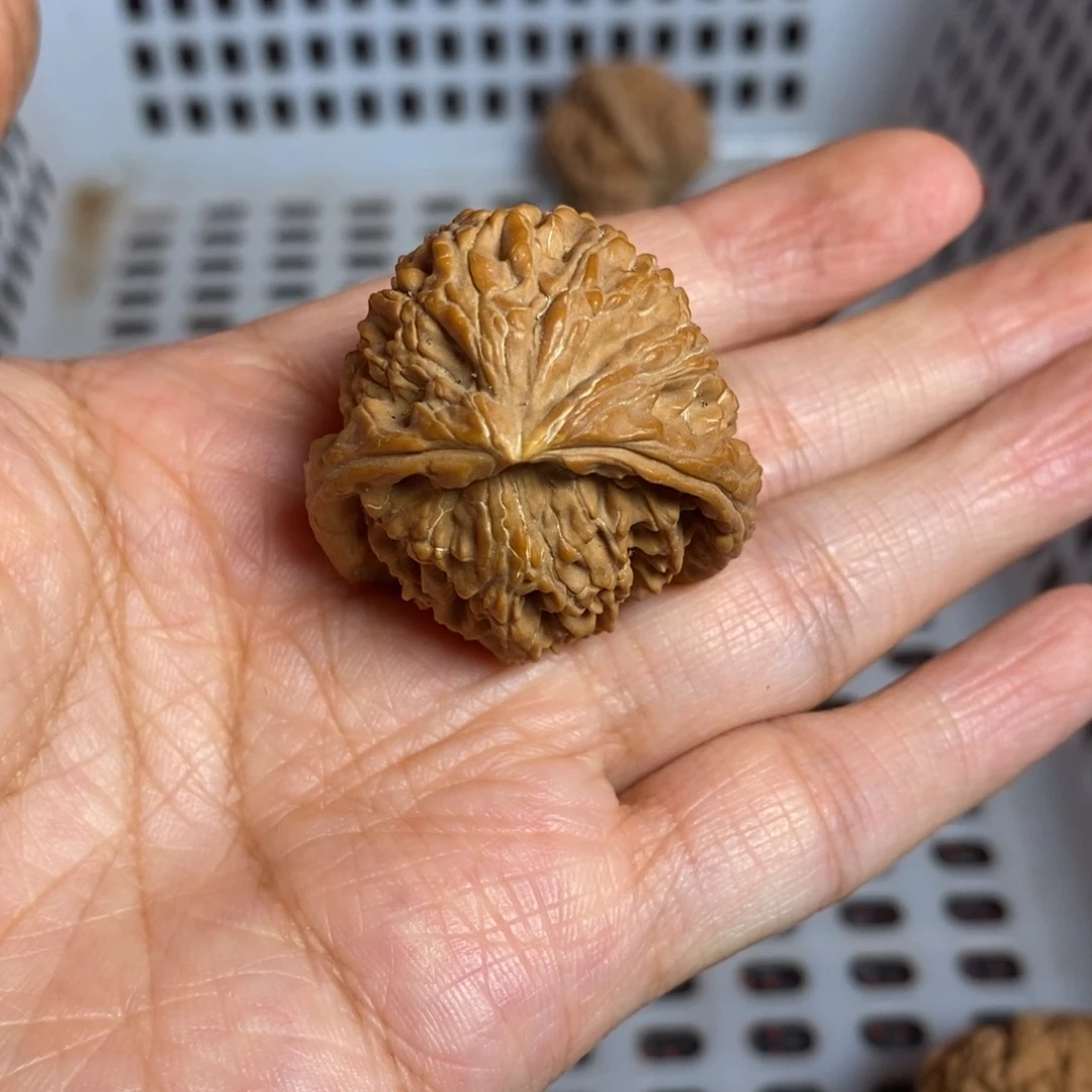 花****文玩核桃把件文玩