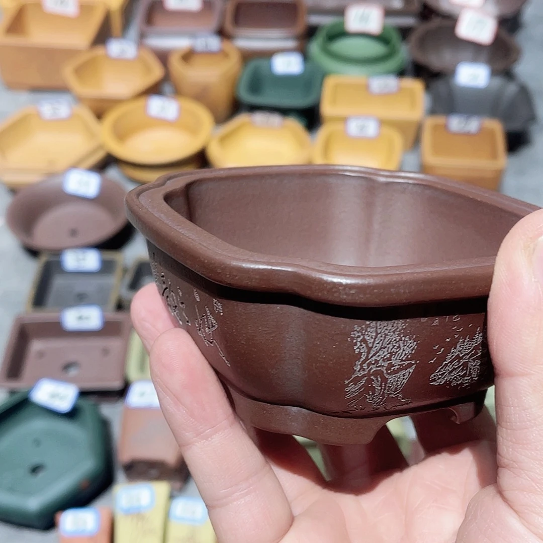 诚***金紫砂小盆8*3cmmmmm