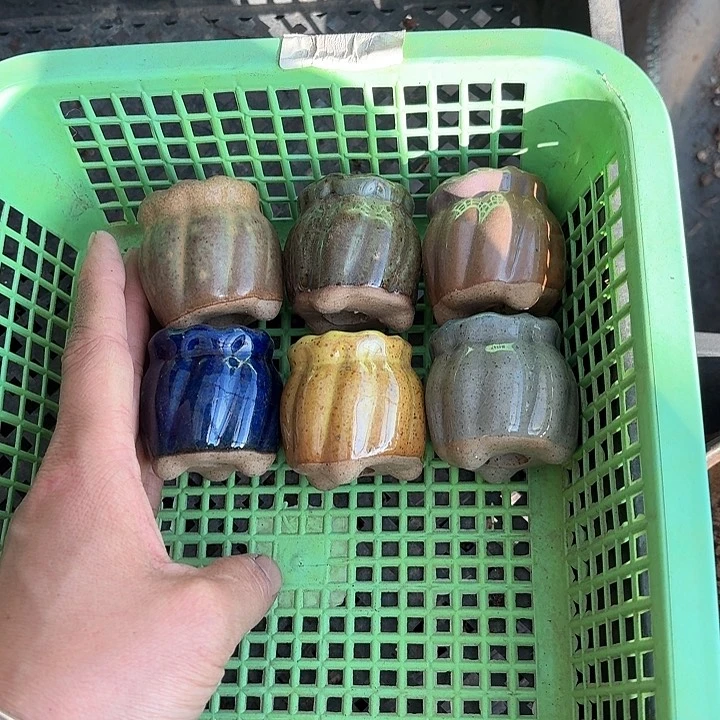 -****-n b v v v g g 421