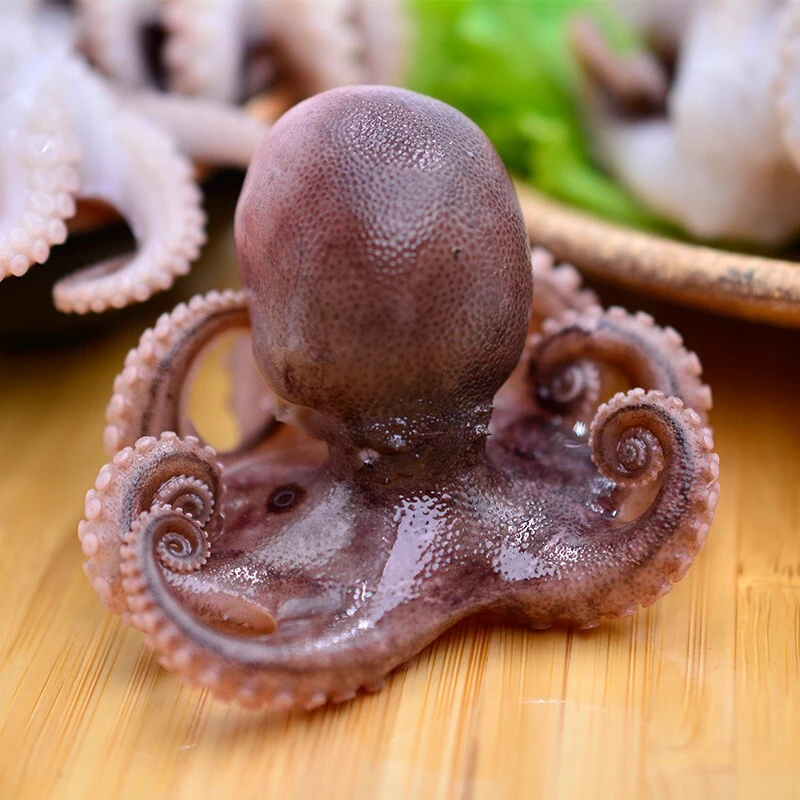 连云港发货  短腿八爪鱼 美味海鲜  2斤/4斤