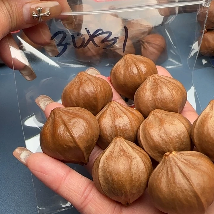 y***功橄榄核手串橄榄核