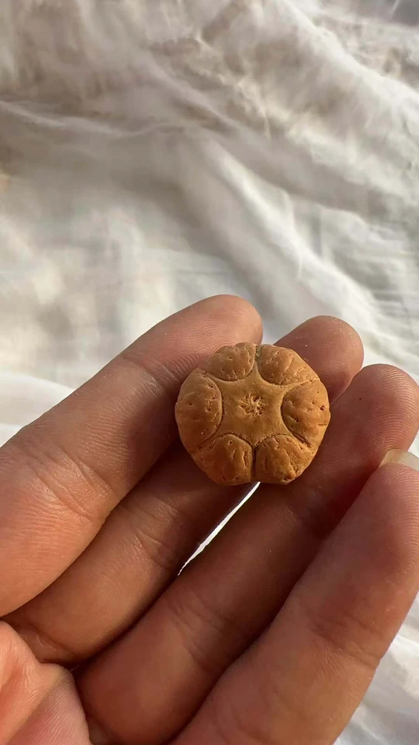 凤眼菩提私人订制