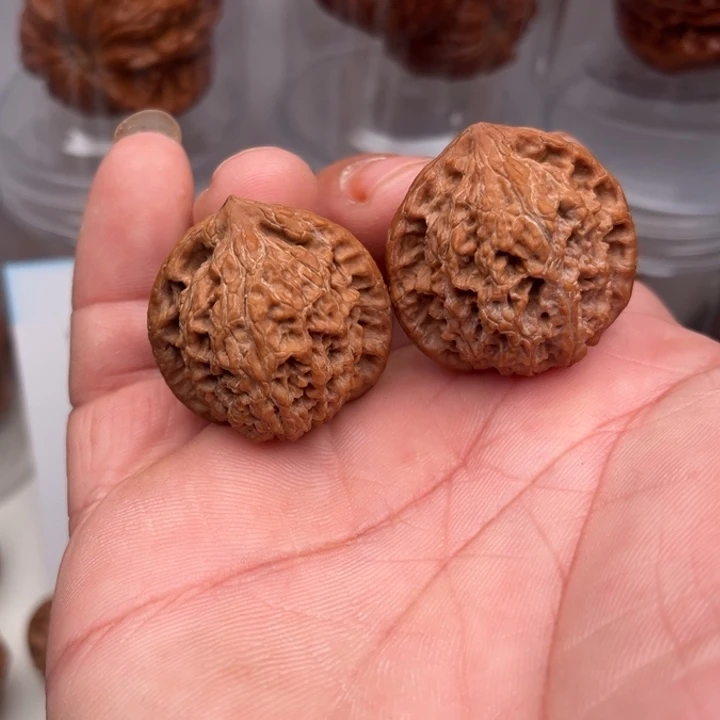 大叶紫檀（黑酸枝木类）