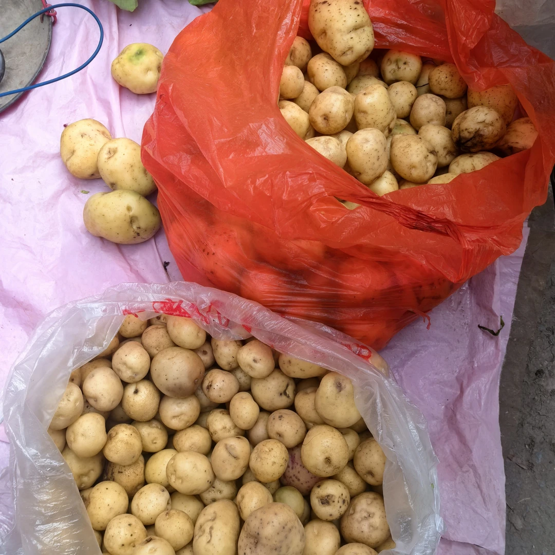 【竹邮助农】大竹石桥铺农家自产自土豆5斤