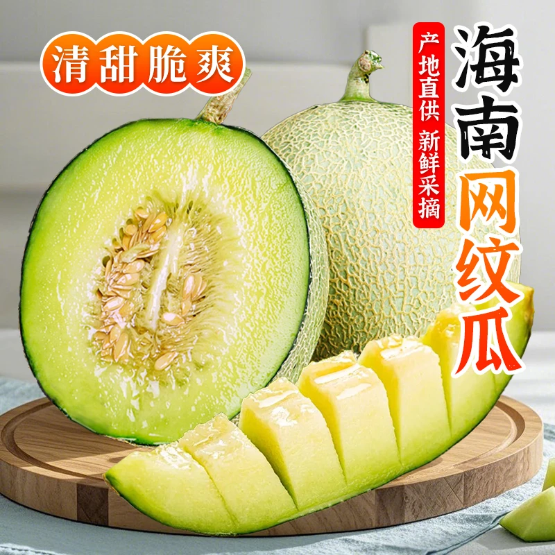 【本来果坊】海南网纹甜瓜2.5-9斤  奶香浓郁 味甜清爽
