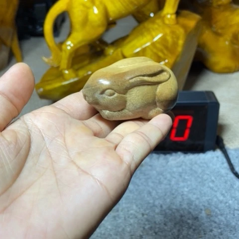 金丝楠小兔子揚件